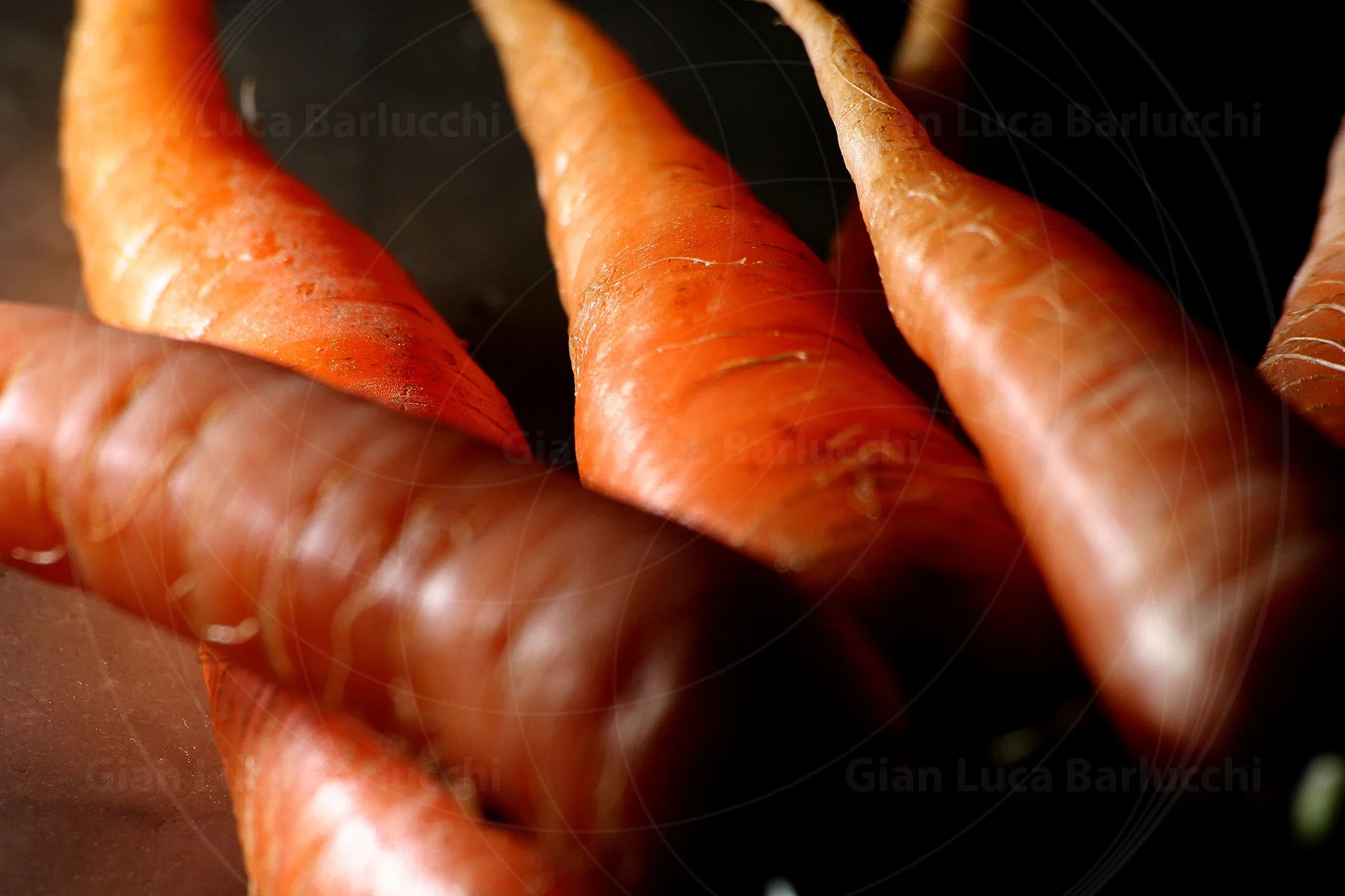 Close-up of orange carrots against a dark background