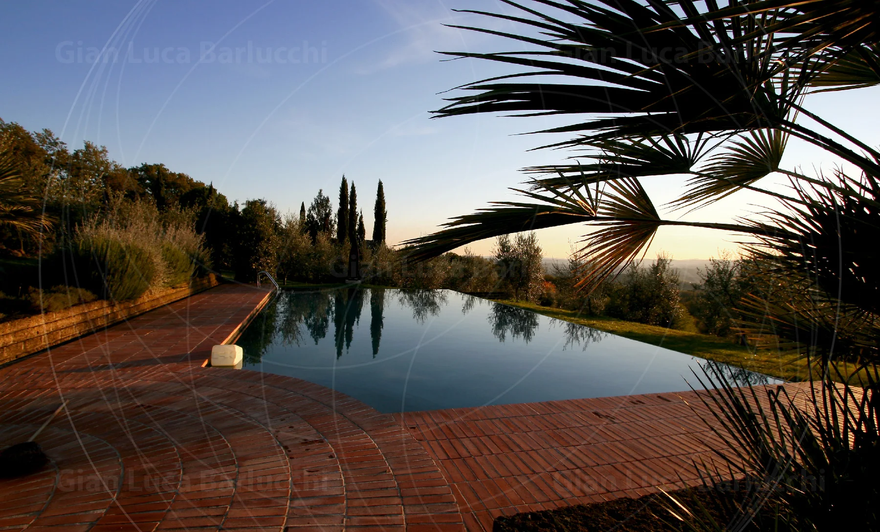 Still swimming pool reflecting trees beneath a clear evening sky