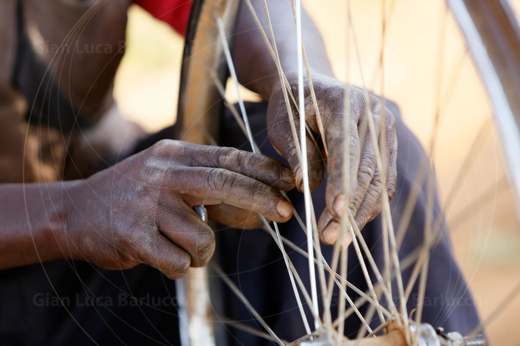 Close-up of a musician's hands plucking the strings of a harp