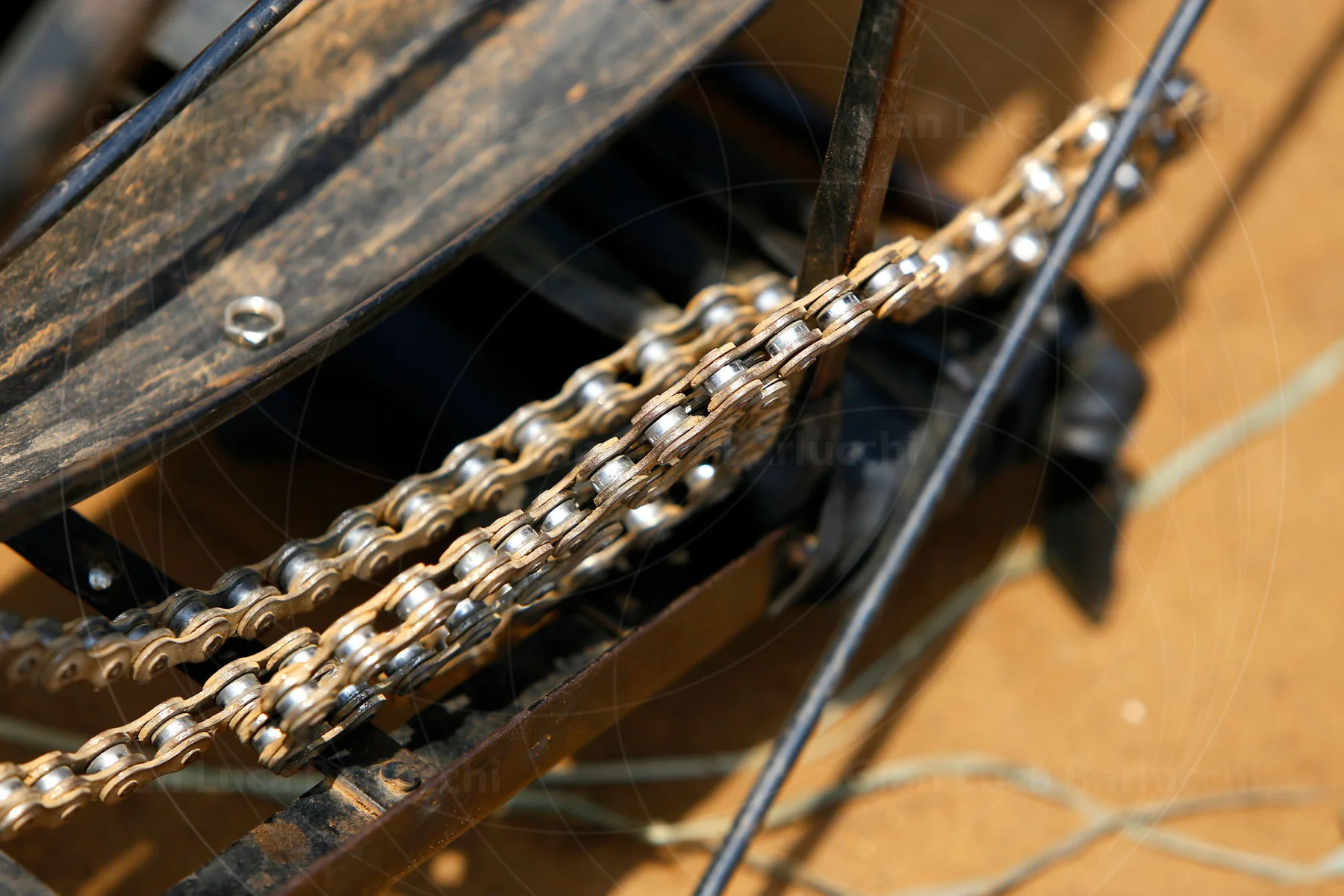Close-up of a bicycle chain, rear wheel and spokes