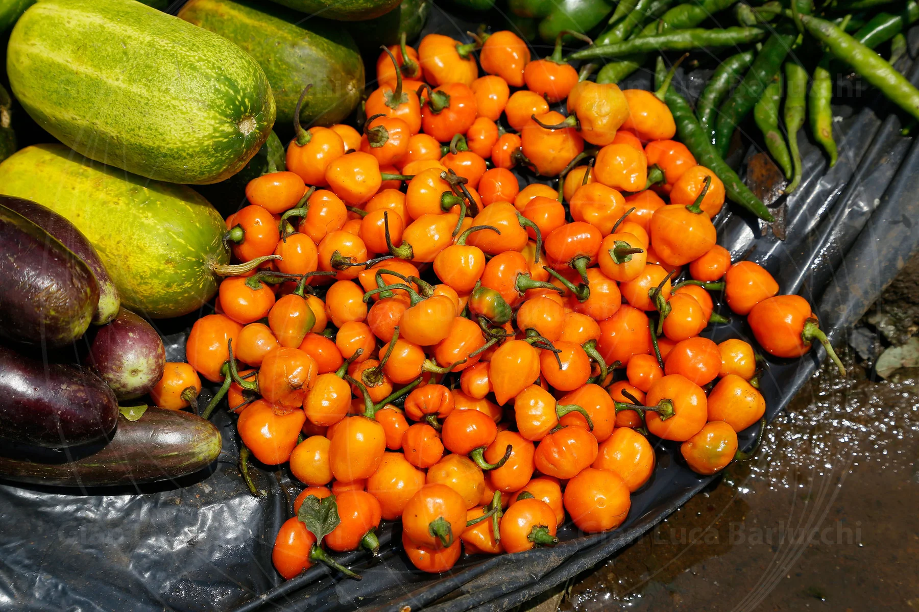 Orange and green peppers piled beside larger vegetables at a market