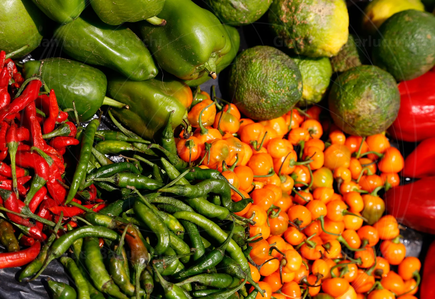 Red, green and orange peppers arranged on a market stall