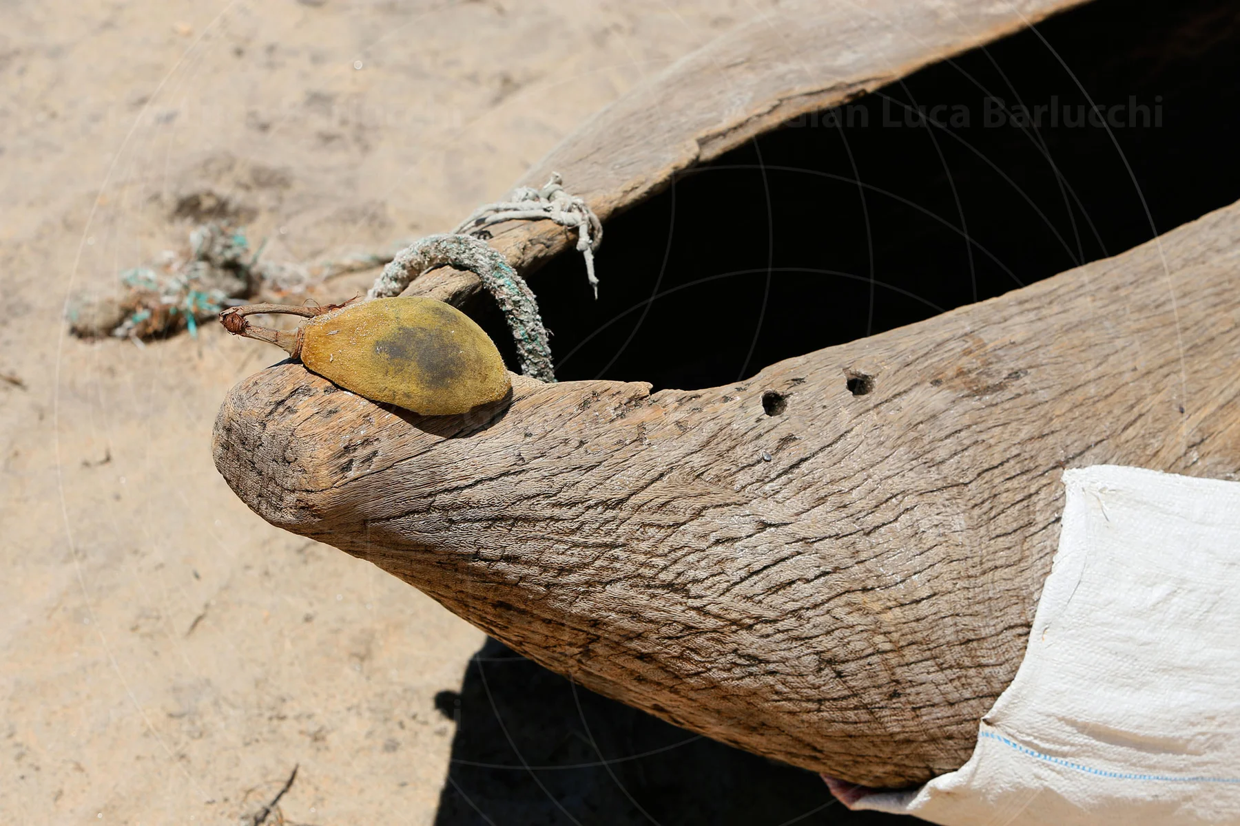 Wooden canoe on sand with rope and a small paddle resting across its bow