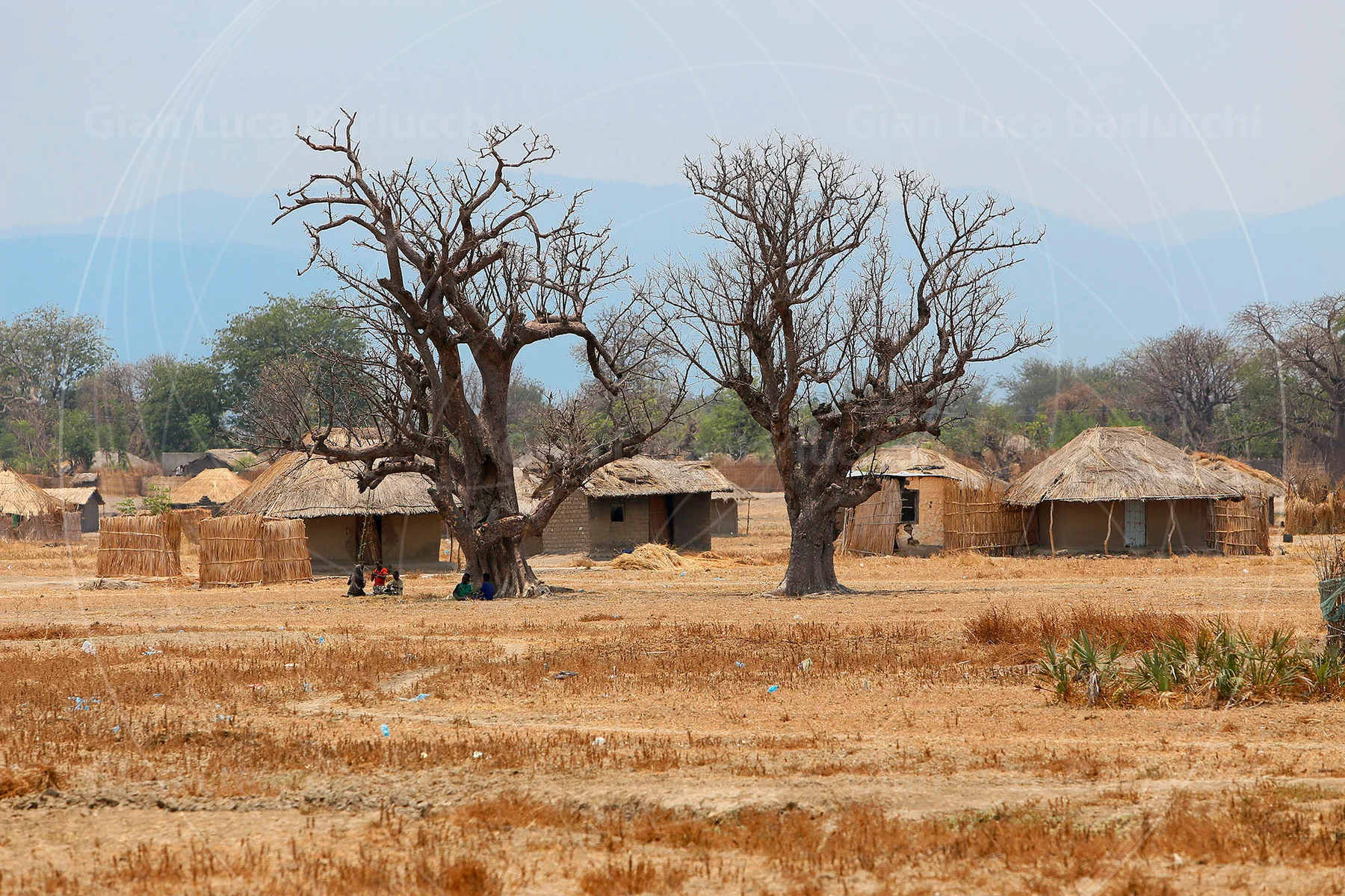 Thatched houses and bare trees across a dry village landscape