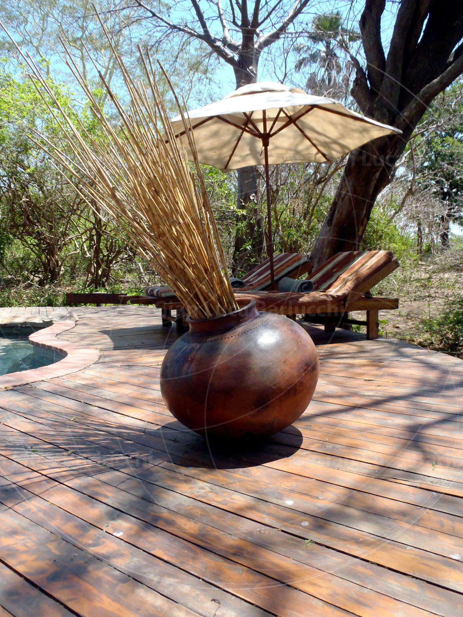 Round vase of tall dried stems on a wooden deck beside a pool